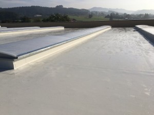 #Cubierta #deck, #lámina TP0 y #lucernarios #policarbonato #celular curvo