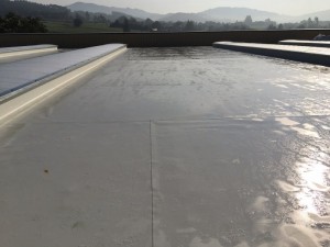 #Cubierta #deck, #lámina TP0 y #lucernarios #policarbonato #celular curvo