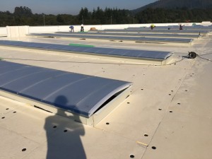 Montaje de #policarbonato curvo en #cubierta #chapa #metálica