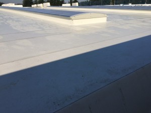 #Cubierta #deck, #lámina TP0 y #lucernarios #policarbonato #celular curvo