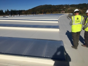 Cubierta deck, policarbonato celular curvo , canalones aislados , petos y coronaciones